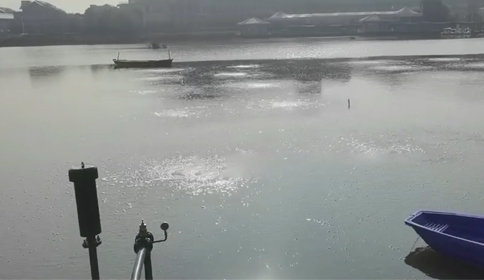 黑偉沉水風機助力杭州蕭山區某河道生態治理